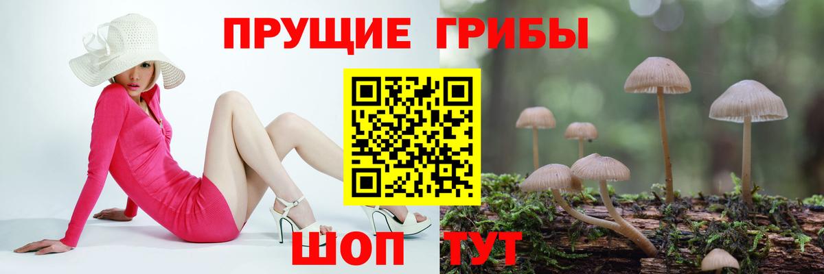 Долгопрудный  Галлюциногенные грибы мухоморы  Вход с VPN  даркнет сайт  Псилоцибиновые грибы Psilocybe 